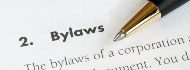 AIHA AIHM bylaws